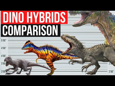 Dinosaurs Hybrids in Jurassic Franchises | Size Comparison | Part 1