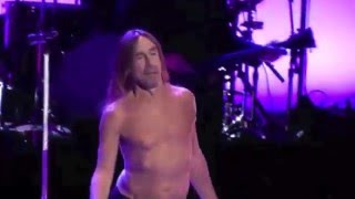 Iggy Pop Lust for Life and Passenger in Toronto partials