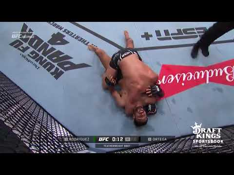 Rodriguez vs Ortega 2