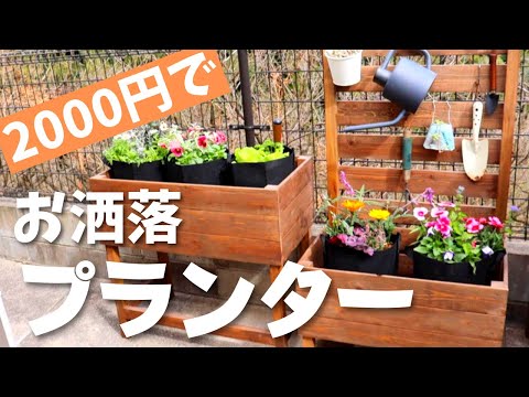 jardinière en bois récupération-planter-agrumes-cour