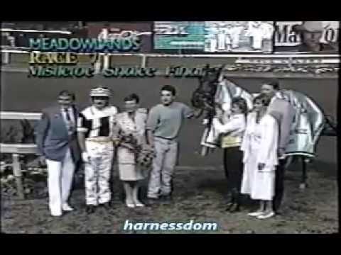 1993 Meadowlands ELLAMONY Mistletoe Shalee Final