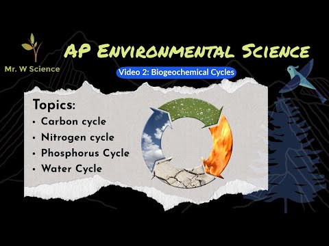 Video 2: Biogeochemical Cycles (APES Unit 1 - Living World)
