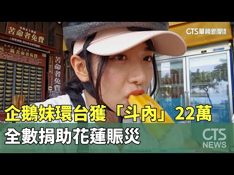 企鵝妹環台獲「斗內」22萬　全數捐助花蓮賑災
