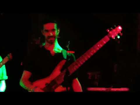 OK Goodnight - The Fox & the Bird LIVE The Middle East Upstairs