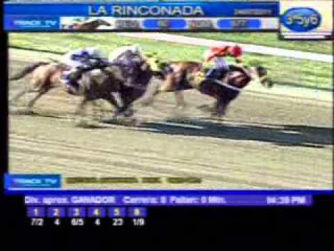 Resumen Domingo, 24 de Julio de 2011 - La Rinconada