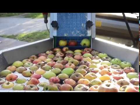Apples Processing Line