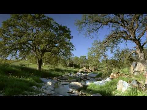 Amr Diab Khaleek Fakerni - عمرو دياب خليك فاكرنى (Instrumental / Chill Out Music)