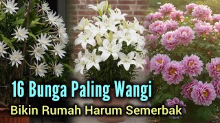 Download lagu 16 Most Fragrant Flowers That Can Make Your Home Smell Amazing mp3 Download lagu 16 Most Fragrant Flowers That Can Make Your Home Smell Amazing mp3