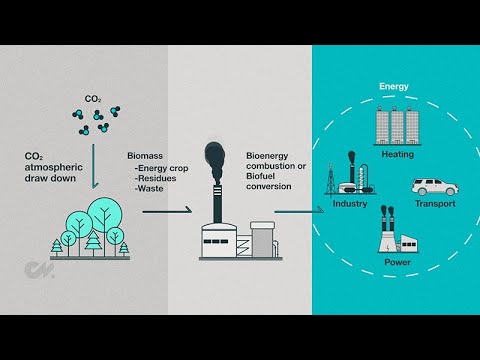 Carbon Dioxide Removal