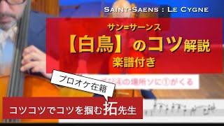 Download lagu サン=サーンス【白鳥】プロオケ在籍・拓せんせいのコツ解説楽譜付きSaintSaens LeCygne 白鳥 千里音楽園cello チェロ 大阪フィル 庄司拓swan mp3 Download lagu サン=サーンス【白鳥】プロオケ在籍・拓せんせいのコツ解説楽譜付きSaintSaens LeCygne 白鳥 千里音楽園cello チェロ 大阪フィル 庄司拓swan mp3