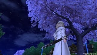 ドラゴンクエストⅩソロプレイ