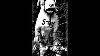 Black Eyed Dog (with lyrics) by Nick Drake