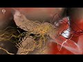 Reuben S Train Nat Keefe With The Bow Ties Audio Library No Copyright Music