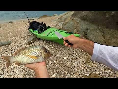 Solo Hootchie camping on mini island   Kayaking   Beach Shark fishing + 22