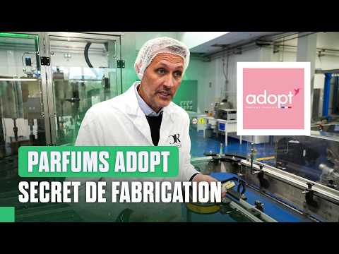 Fiabilité ou copie ? Ce qu’on ne vous dit pas sur Adopt