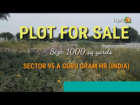  Residential Plot 1000 Sq. Yards for Sale in Pataudi Road, Gurgaon