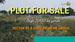  Residential Plot for Sale in Pataudi Road, Gurgaon