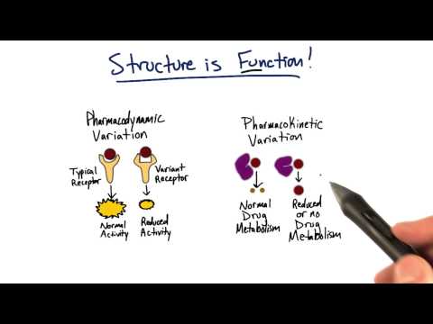 Structure is Function - Tales from the Genome