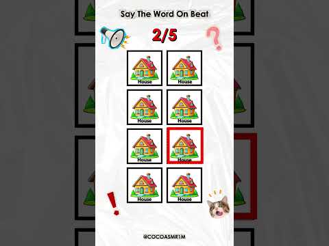 COCO ASMR 1M and SPIDY ASMR 1M