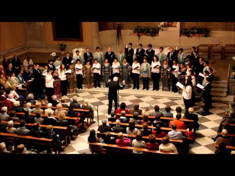 Cantate Domino, Josu Elberdin