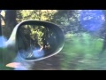 Portugal. The Man -- The Dead Dog (Music Video ...