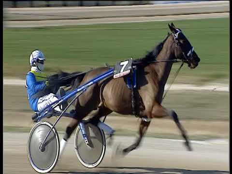 Trotto 24/02/2019 - 2ª corsa