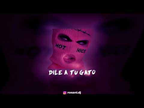 DILE A TU GATO - TURREO RKT - ROSANI DJ