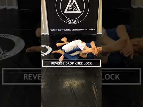 [グレイシー柔術]足関節2ニーバー