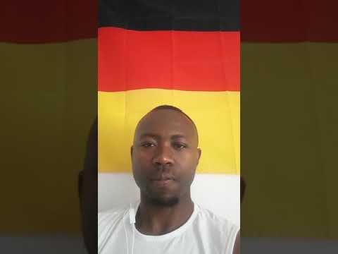 Die Verfassungsorgane der Bundesrepublik Deutschland