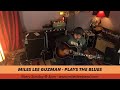 Miles Lee Plays The Blues