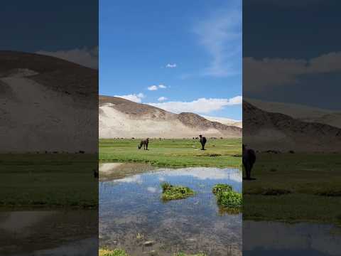 ¡Increíble ruta por Bolivia! #shorts