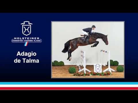 Adagio de Talma gewinnt S*-Springen auf Fehmarn