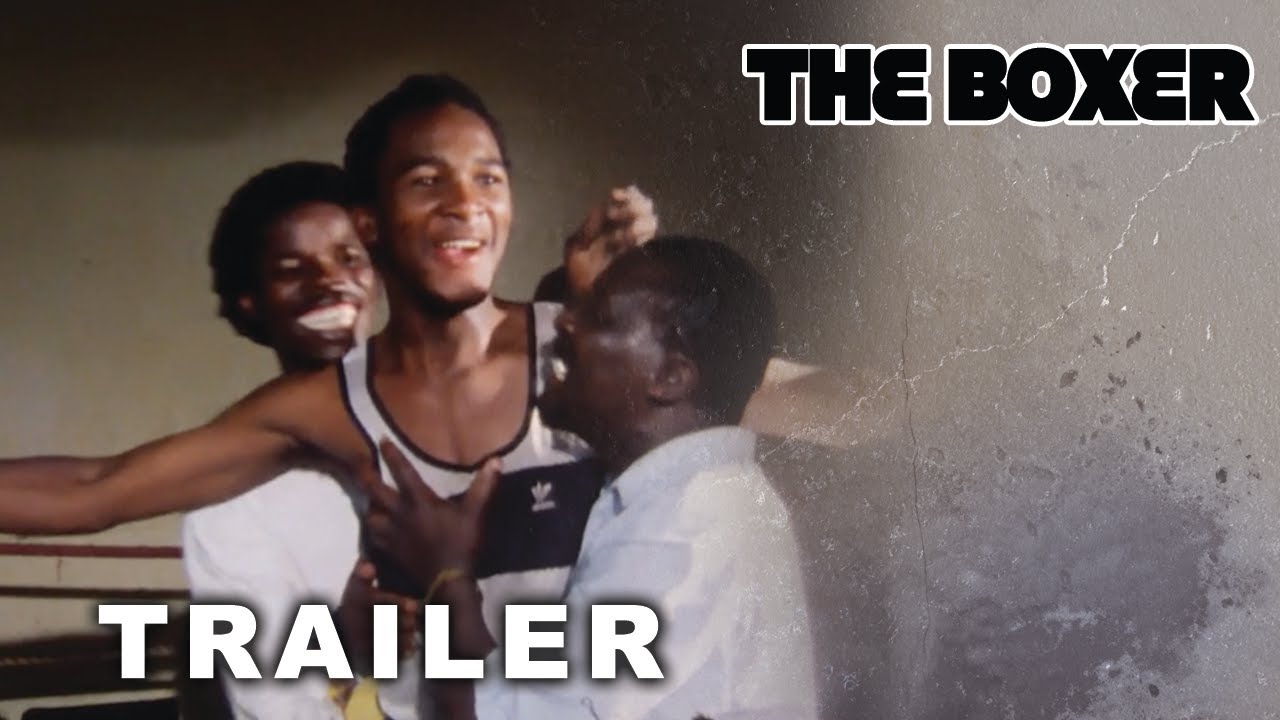 The Boxer