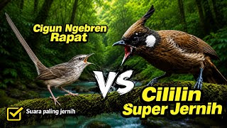 Download lagu MASTERAN CILILIN VS CIBLEK GUNUNG SUARA JERNIH,TEMBAKAN RAPAT,DI JAMIN MUDAH DI TIRU DAN CEPAT MASUK mp3