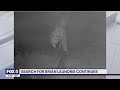 Man matching Brian Laundrie’s description caught on trail camera | FOX 5 DC