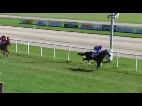 NKI Champion Stakes 2015 Funk Soul Brother