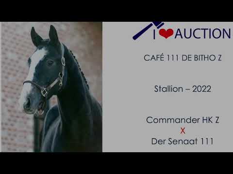 Café 111 De Bitho Z free jumping