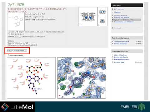 Mini Tutorial: Viewing PDB ligands in LiteMol