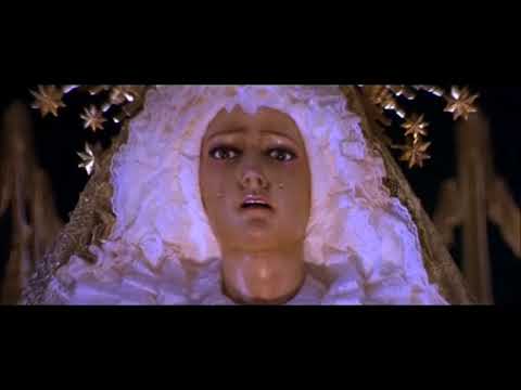 afbeelding Nadie conoce a nadie