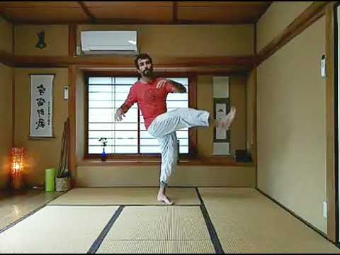 Aikido at Home solo drills