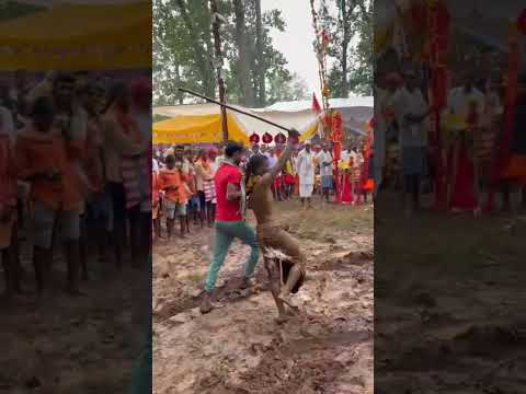 Dev Nritya #bastar #dev #adivasi #gondi #song #halbi #chhattisgarhi #bastariya #halbigana #cg #dj