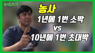 1년에 1번 소박 vs 10년에 1번 초대박 농사 당신의 선택은? 농민포차│농사직방