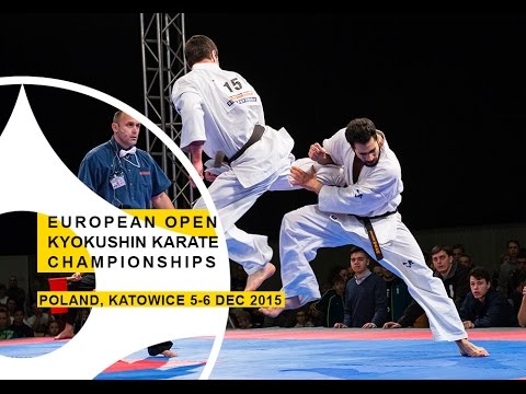 Highlight 2015 European Open Kyokushin Karate Championships (IKO)