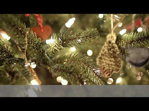 Freue dich, Welt, dein König naht [CoSi I - 64]