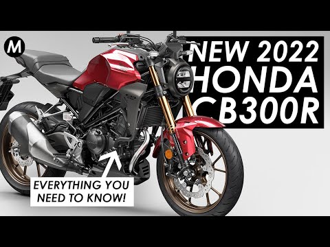 New 2022 Honda CB300R: Everything You Need To Know!