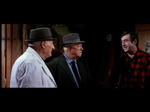 Gauner, Blüten und die Nacht von Nizza