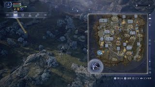 通常マリス(260417_01_接ぎ木の君主-神肌の君主)ELDEN RING NIGHTREIGN_20260417210453