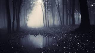 Klaus Schulze - Cavalleria Cellisticana
