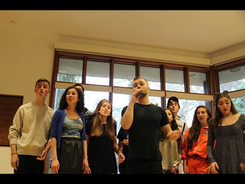 Shehecheyanu (Shir Appeal Spring Show 2017: Shpace)