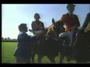 Peteski Breeders Stakes 1993 - Canadian Triple Crown Winner